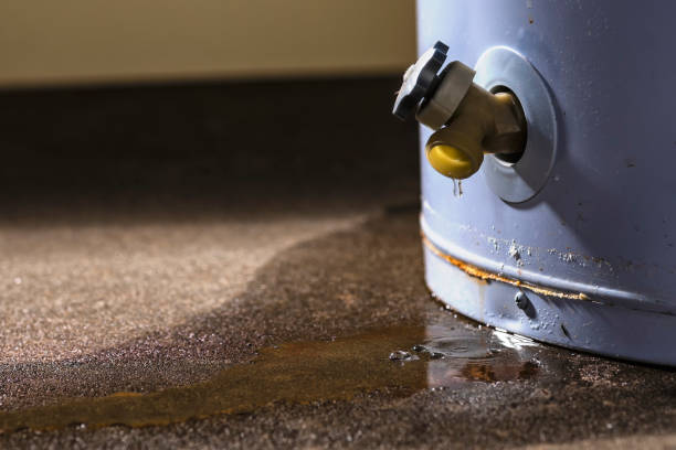 Best 24-hour water damage restoration  in Glen Ridge, NJ