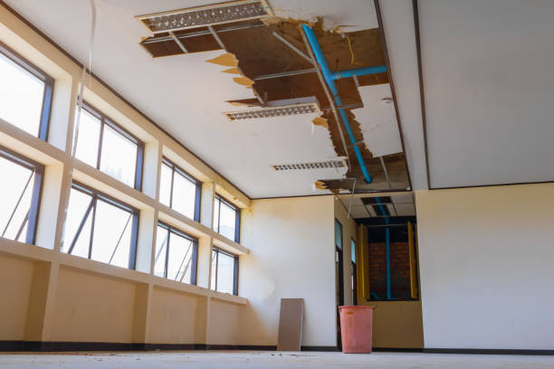 Best 24-hour water damage restoration  in Glen Ridge, NJ