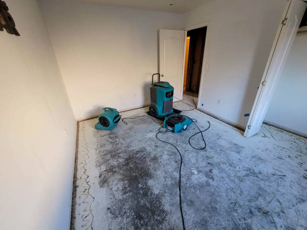 Carpet water damage restoration in NJ