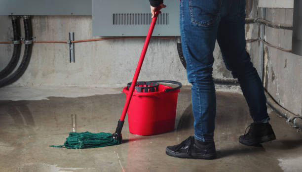 Best Commercial water damage restoration  in Glen Ridge, NJ