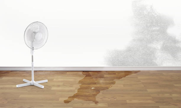Water damage restoration process in NJ