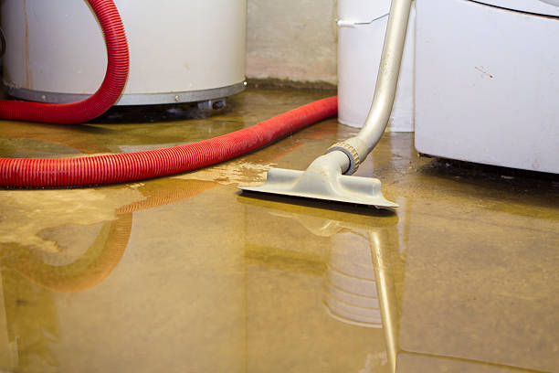 Best Sewage cleanup and water damage restoration  in Glen Ridge, NJ