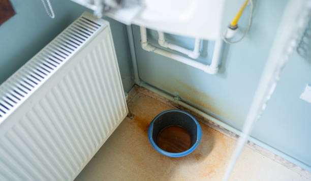 Best Professional water damage repair  in Glen Ridge, NJ