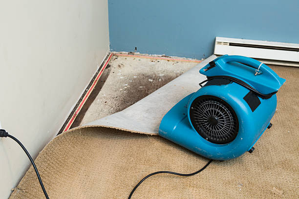 Best Sewage cleanup and water damage restoration  in Glen Ridge, NJ